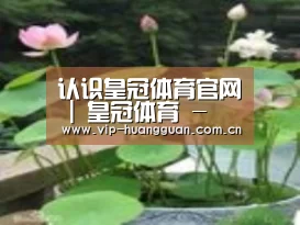 产品名称一