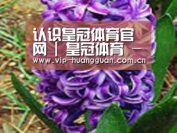 产品名称八