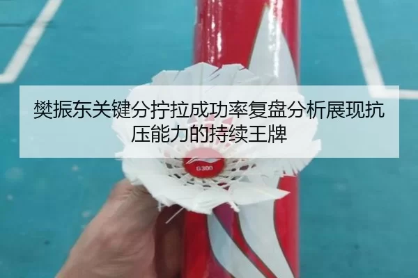 樊振东关键分拧拉成功率复盘分析展现抗压能力的持续王牌